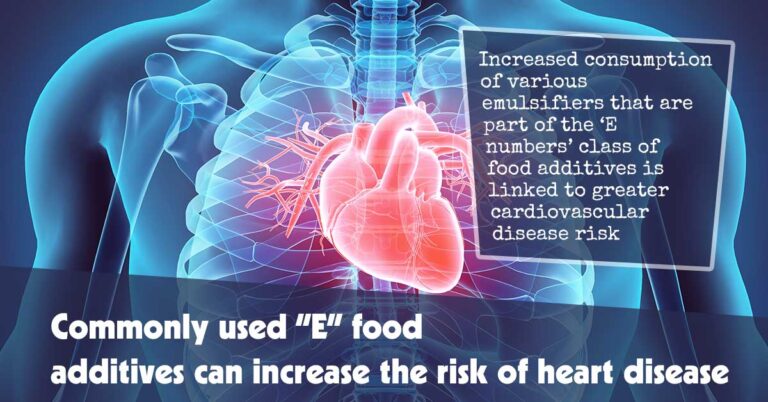 Commonly-used-E-food-additives-can-increase-the-risk-of-heart-disease-f