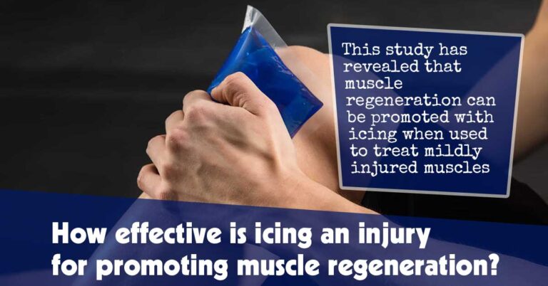 How-effective-is-icing-an-injury-for-promoting-muscle-regeneration-f
