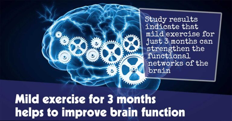 Mild-exercise-for-3-months-helps-to-improve-Brain-function-f