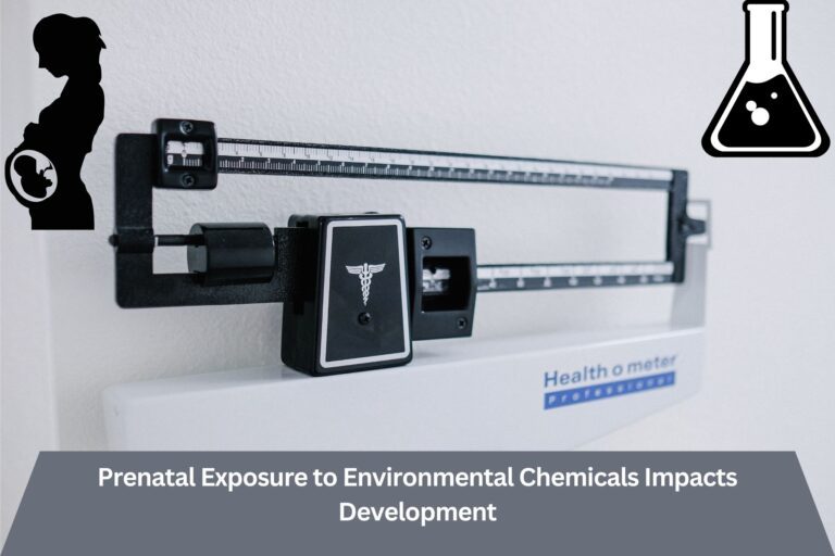 Prenatal-Exposure-to-Environmental-Chemicals-Impacts-Development